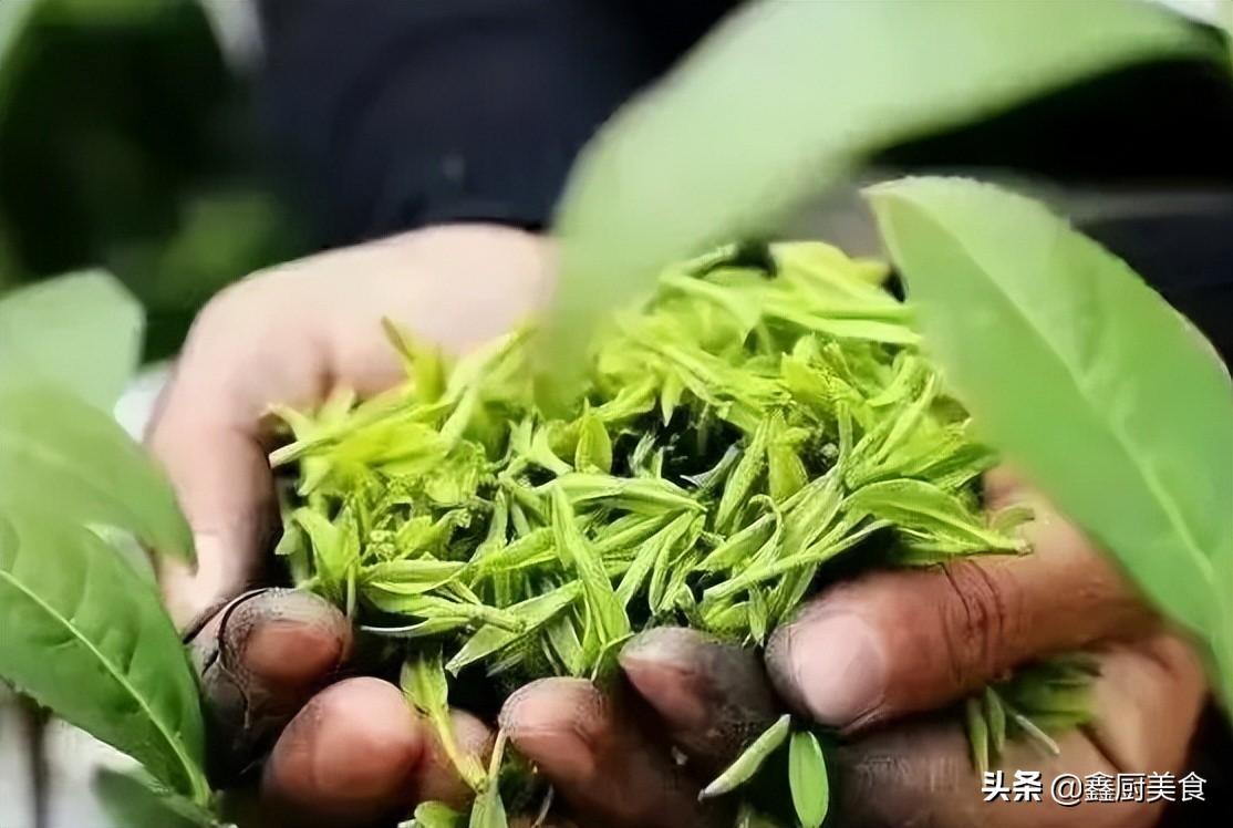 哪个品牌的茶叶好喝百度经验（什么茶叶最好喝排行榜）(图10)