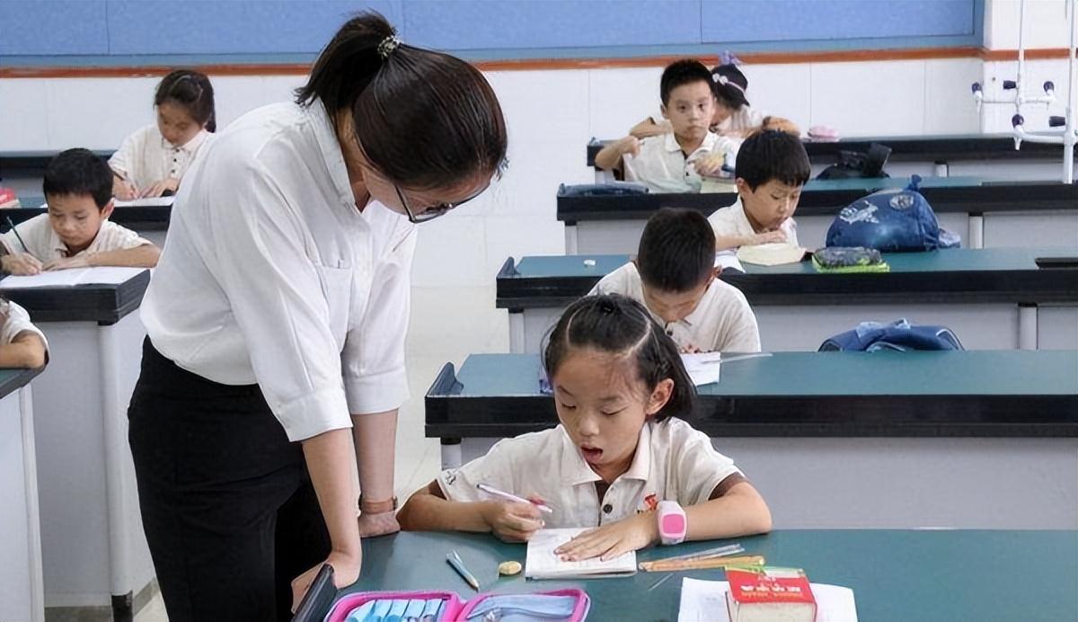 小学老师学历高还是初中老师学历高（小学老师需要什么学历）(图2)