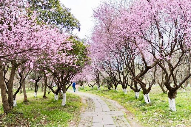 周边好玩的旅游景点推荐一日游杭州（杭州景点最好玩的排名）(图79)