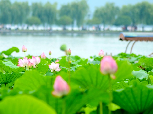 周边好玩的旅游景点推荐一日游杭州（杭州景点最好玩的排名）(图10)