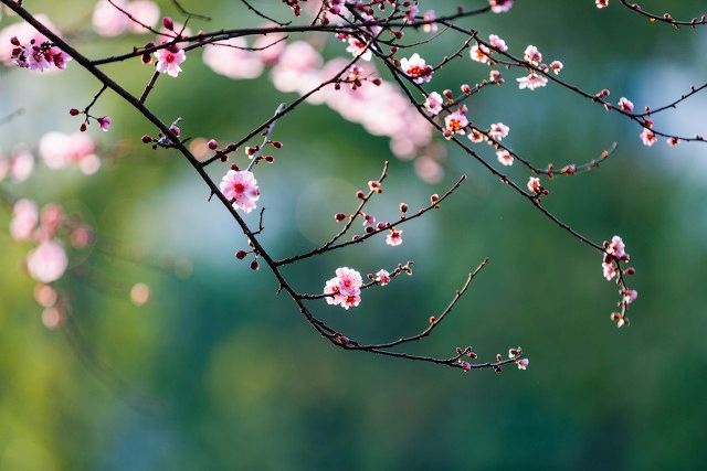 周边好玩的旅游景点推荐一日游杭州（杭州景点最好玩的排名）(图77)