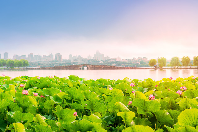 周边好玩的旅游景点推荐一日游杭州（杭州景点最好玩的排名）(图103)