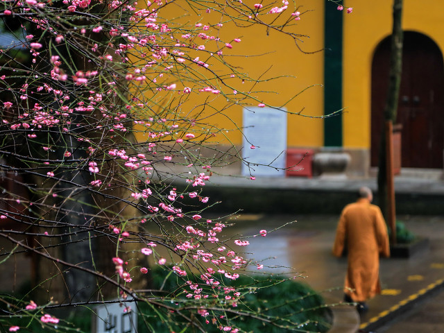 周边好玩的旅游景点推荐一日游杭州（杭州景点最好玩的排名）(图17)