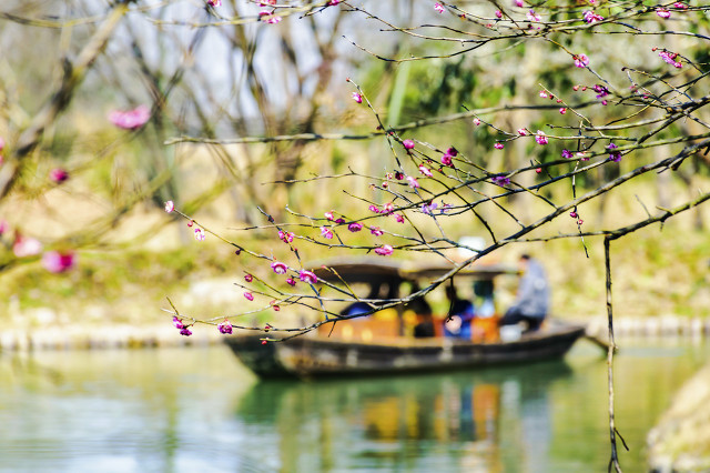 周边好玩的旅游景点推荐一日游杭州（杭州景点最好玩的排名）(图71)