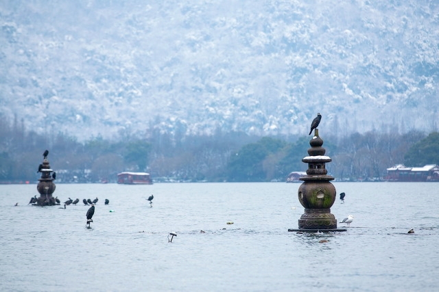 周边好玩的旅游景点推荐一日游杭州（杭州景点最好玩的排名）(图7)