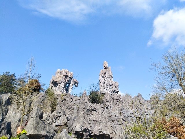 周边好玩的旅游景点推荐一日游杭州（杭州景点最好玩的排名）(图29)