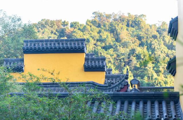 周边好玩的旅游景点推荐一日游杭州（杭州景点最好玩的排名）(图20)