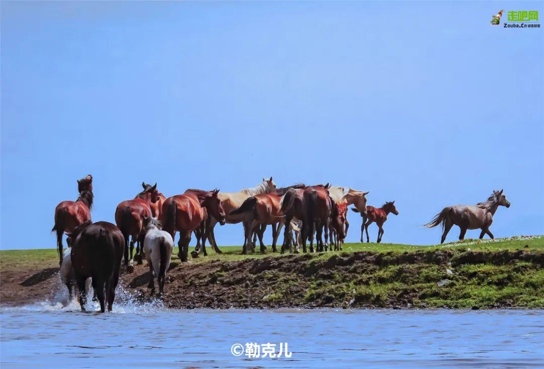 内蒙草原自驾游路线图（内蒙旅游最佳路线）(图28)