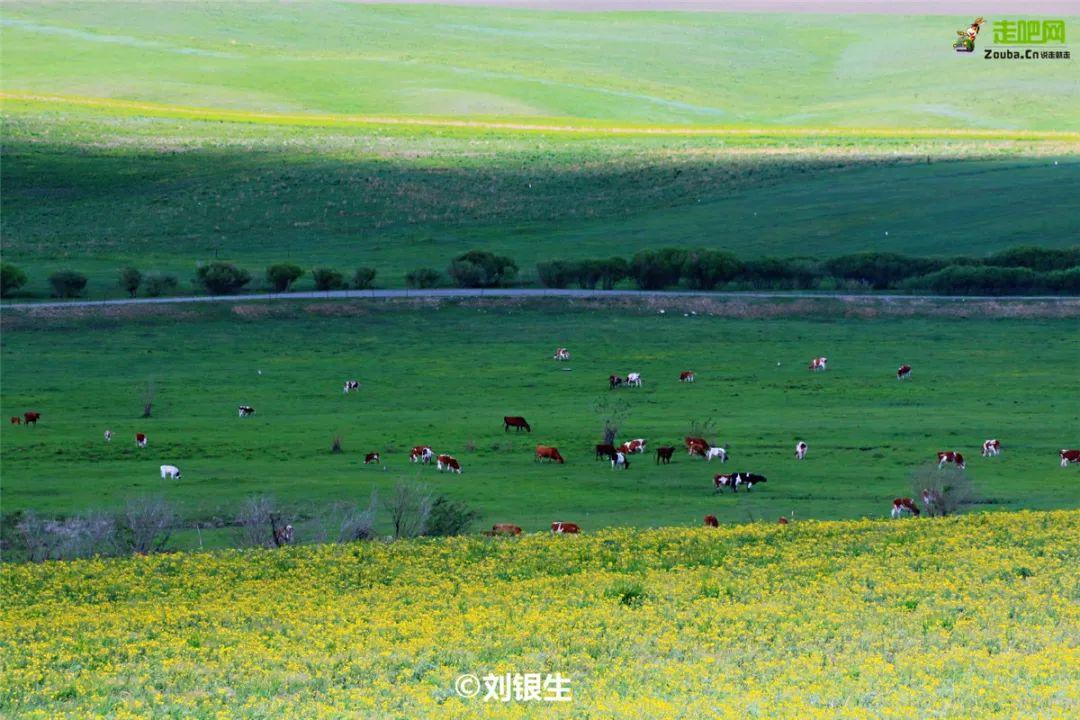 内蒙草原自驾游路线图（内蒙旅游最佳路线）(图29)