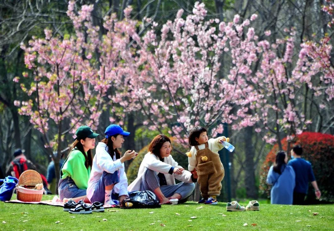 踏青一般是指什么节日（踏青是指什么意思）(图3)