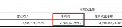 ​格力跌停：造车豪赌成亏损黑洞