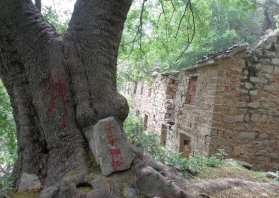 无意中发现的灵异村庄（河南封门村大家知道中国第一鬼村）(1)_