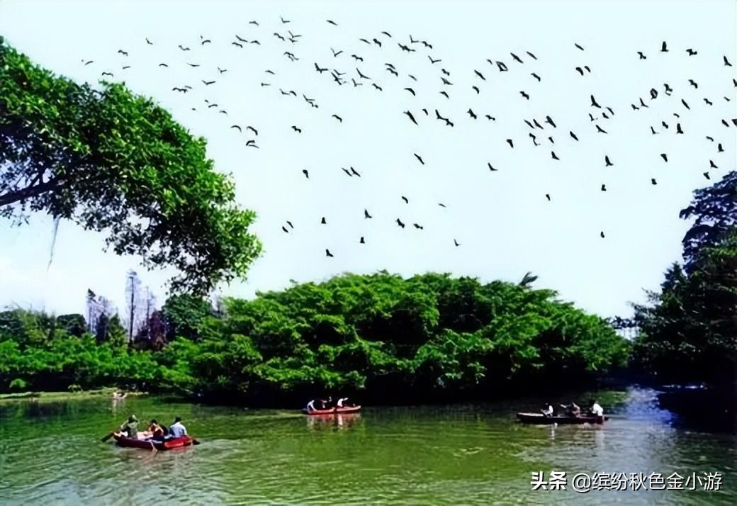 广东江门特色景点介绍（江门属于哪个省的地方）(图4)