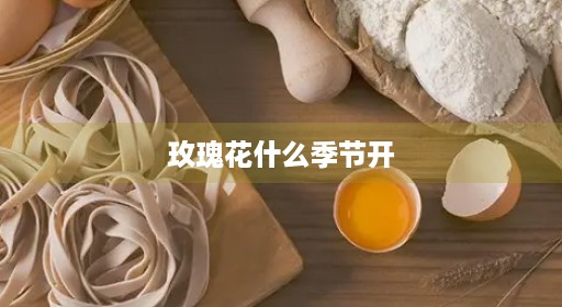 玫瑰花什么季节开