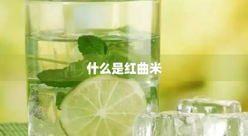 什么是红曲米