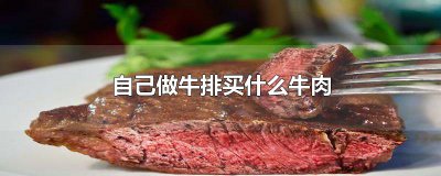 ​自己做牛排买什么牛肉