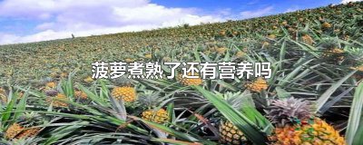 ​菠萝煮熟了还有营养吗