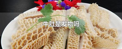 ​牛肚是发物吗