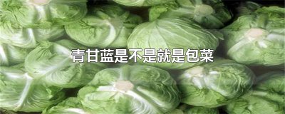 ​青甘蓝是不是就是包菜