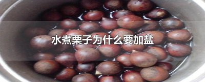 ​水煮栗子为什么要加盐