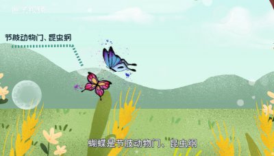 ​蝴蝶是益虫还是害虫