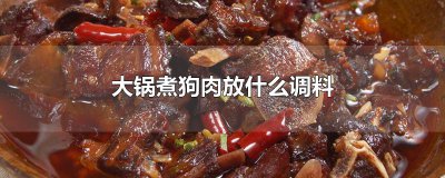 ​大锅煮狗肉放什么调料