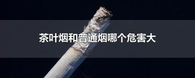 ​茶叶烟和普通烟哪个危害大