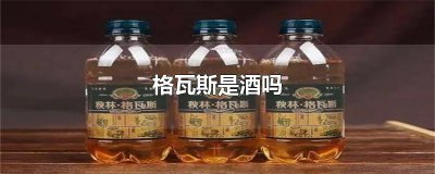 ​格瓦斯是酒吗