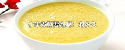 ​小米煮粥要泡吗？泡多久