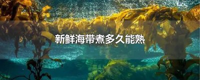 ​新鲜海带煮多久能熟