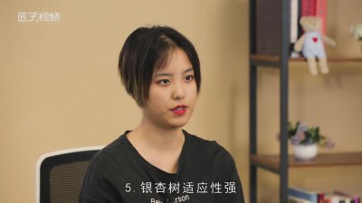 ​银杏树的特点是什么