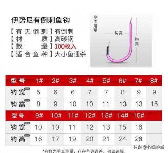 ​伊势尼鱼钩能钓哪些鱼类（钓鱼者必备的实用工具）