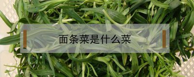 ​面条菜是什么菜