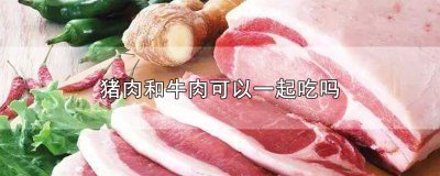 ​猪肉和牛肉可以一起吃吗