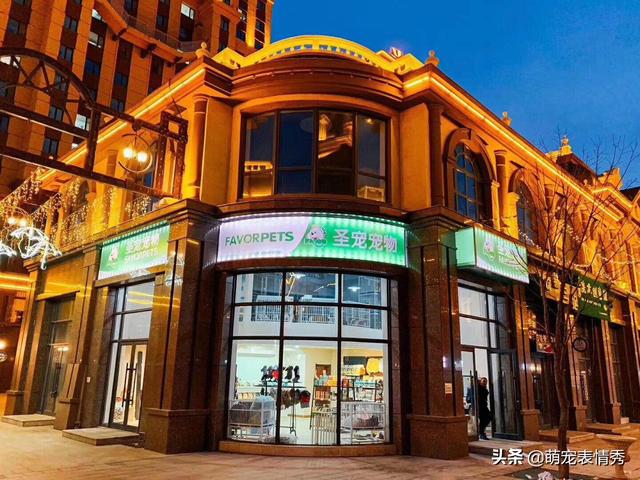 宠物店加盟费用明细表（宠物店加盟费多少钱）(1)