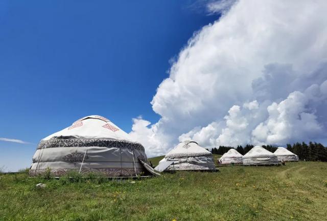 伊犁十大旅游景点（收藏篇伊犁最美的52处绝色美景）(27)