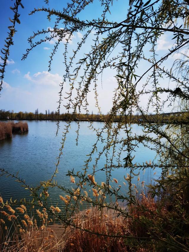 伊犁十大旅游景点（收藏篇伊犁最美的52处绝色美景）(17)