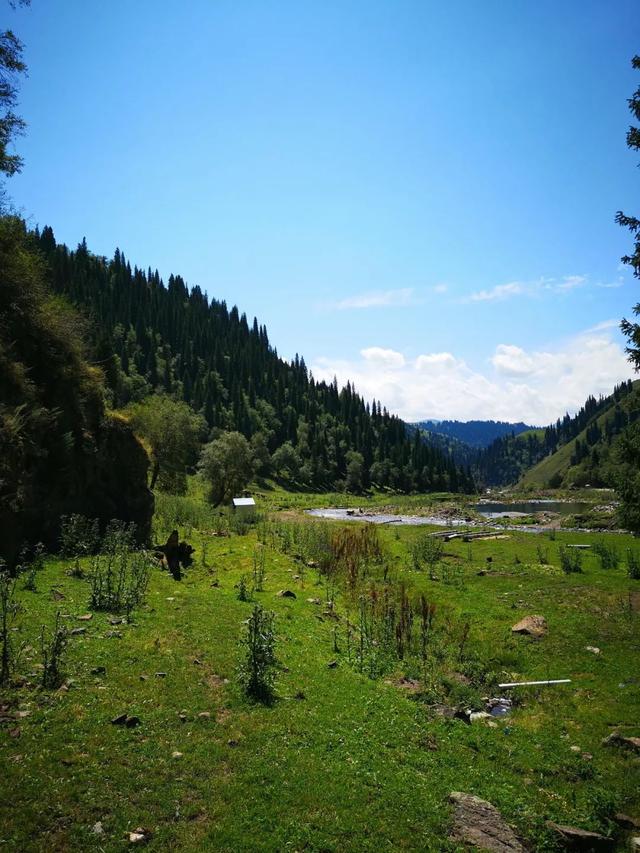 伊犁十大旅游景点（收藏篇伊犁最美的52处绝色美景）(78)