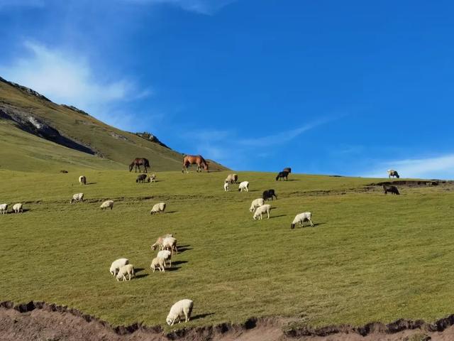 伊犁十大旅游景点（收藏篇伊犁最美的52处绝色美景）(57)