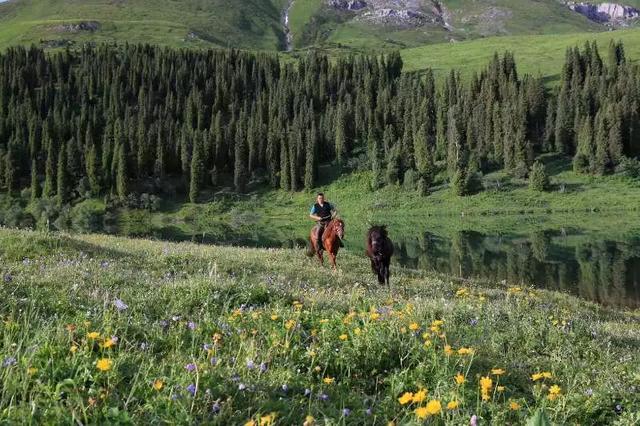 伊犁十大旅游景点（收藏篇伊犁最美的52处绝色美景）(32)