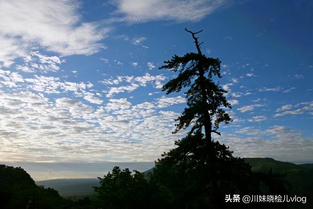 甘肃必去的10个景点（甘肃必去十大旅游景点）(12)