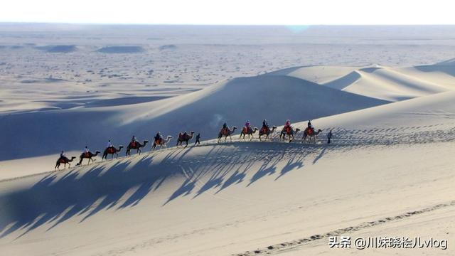 甘肃必去的10个景点（甘肃必去十大旅游景点）(8)