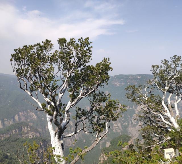 河南十大最值得去旅游景点（河南30个最好玩的景区景点）(102)