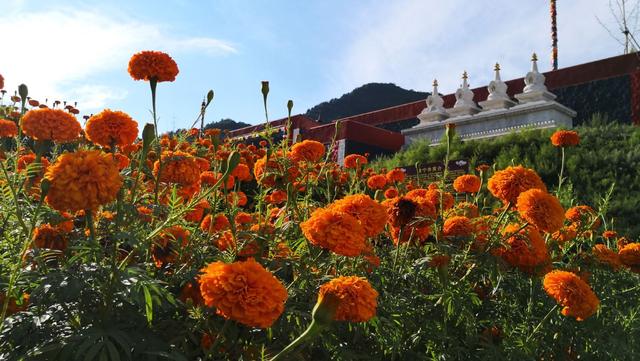 内蒙有什么好玩的旅游景点（内蒙古27个最好玩的地方）(17)