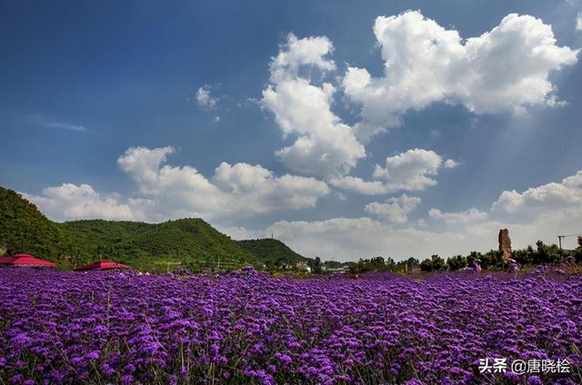 贵阳游玩攻略必去景点（贵阳十大旅游必去景点）(24)