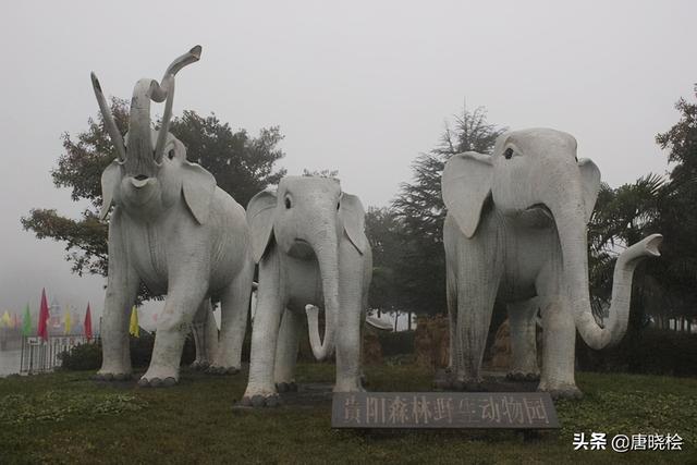 贵阳游玩攻略必去景点（贵阳十大旅游必去景点）(17)