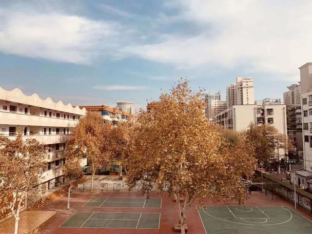 郑州市中原区重点小学排名（郑州市七区公办重点小学及小学基础教育概况）(22)