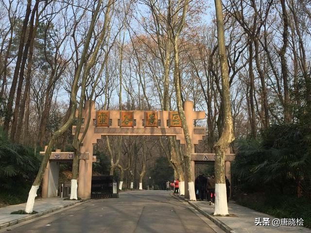 南京最值得去的旅游景点排名（南京十大旅游必去景点）(13)