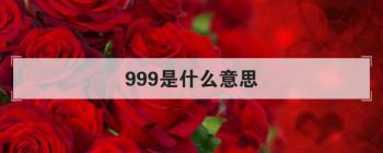 999是什么意思，999数字代表什么含义