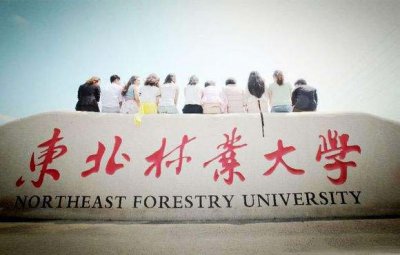 ​东北林业大学在哪个城市（东北林业大学地点）